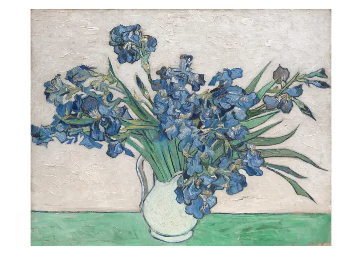 Kosatce, Vincent van Gogh, 1890